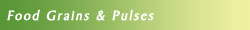 food grains & pulses